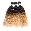 DT3BOMBERWW001 HD Lace WigsHair BundlesGlueless WigsCrochet hair extensions OUOHAIR