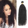 DTHH1BJERRYCURLY001 HD Lace WigsHair BundlesGlueless WigsCrochet hair extensions OUOHAIR