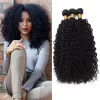JayceeMalaysianCurlyHairWithClosureWetandWavyHumanHairBundlesWithClosureCurlyMalaysian HD Lace WigsHair BundlesGlueless WigsCrochet hair extensions OUOHAIR